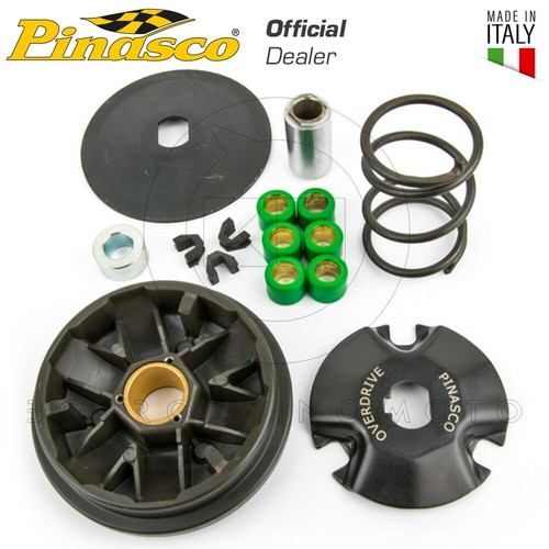 25260217 kit variatore pinasco - 25260217,